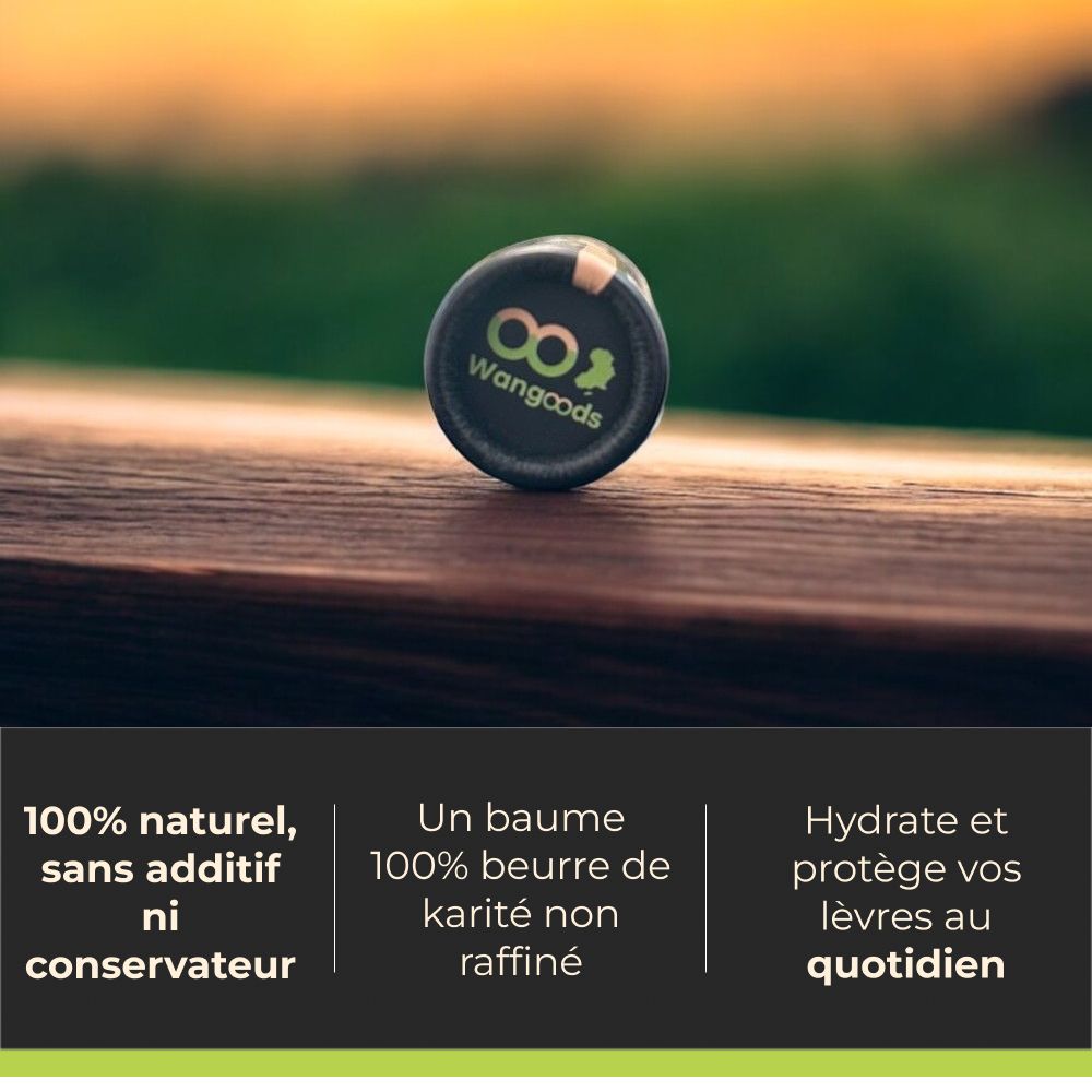 Beurre de Karité pur - Baume à Lèvres 7g – Image 4